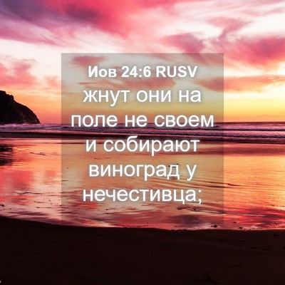 Picture 04 - Иов 24:6 RUSV - жнут они на поле не своем и - Bible Verse Picture