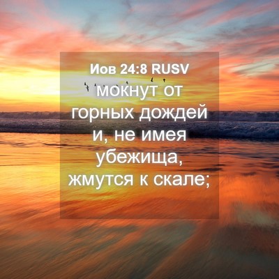 Picture 04 - Иов 24:8 RUSV - мокнут от горных дождей и, - Bible Verse Picture