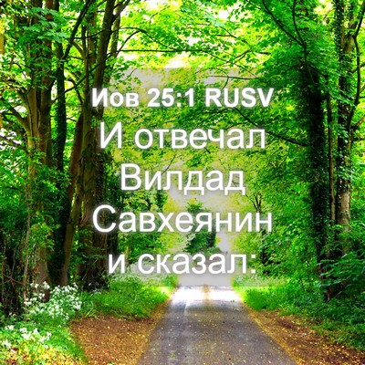 Picture 04 - Иов 25:1 RUSV - И отвечал Вилдад Савхеянин - Bible Verse Picture