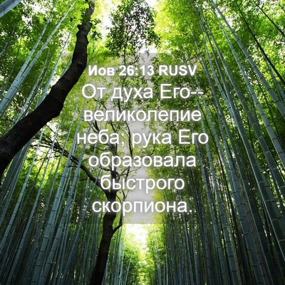 Picture 04 - Иов 26:13 RUSV - От духа Его--великолепие - Bible Verse Picture