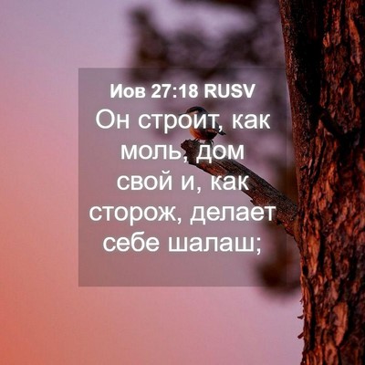 Picture 04 - Иов 27:18 RUSV - Он строит, как моль, дом - Bible Verse Picture