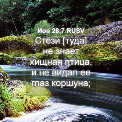 Picture 04 - Иов 28:7 RUSV - Стези [туда] не знает - Bible Verse Picture