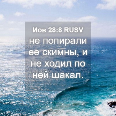 Picture 04 - Иов 28:8 RUSV - не попирали ее скимны, и не - Bible Verse Picture