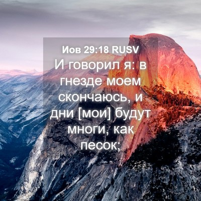 Picture 04 - Иов 29:18 RUSV - И говорил я: в гнезде моем - Bible Verse Picture