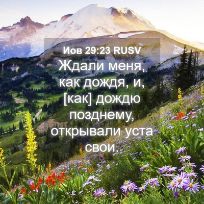Picture 04 - Иов 29:23 RUSV - Ждали меня, как дождя, и, - Bible Verse Picture