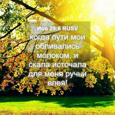Picture 04 - Иов 29:6 RUSV - когда пути мои обливались - Bible Verse Picture