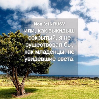 Picture 04 - Иов 3:16 RUSV - или, как выкидыш сокрытый, - Bible Verse Picture