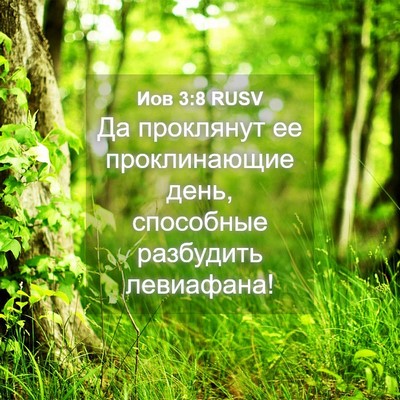 Picture 04 - Иов 3:8 RUSV - Да проклянут ее - Bible Verse Picture