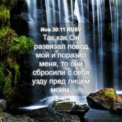 Picture 04 - Иов 30:11 RUSV - Так как Он развязал повод - Bible Verse Picture