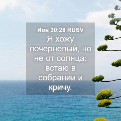 Picture 04 - Иов 30:28 RUSV - Я хожу почернелый, но не от - Bible Verse Picture