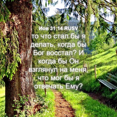 Picture 04 - Иов 31:14 RUSV - то что стал бы я делать, - Bible Verse Picture
