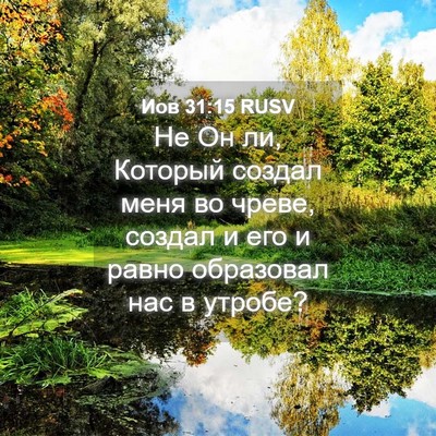 Picture 04 - Иов 31:15 RUSV - Не Он ли, Который создал - Bible Verse Picture