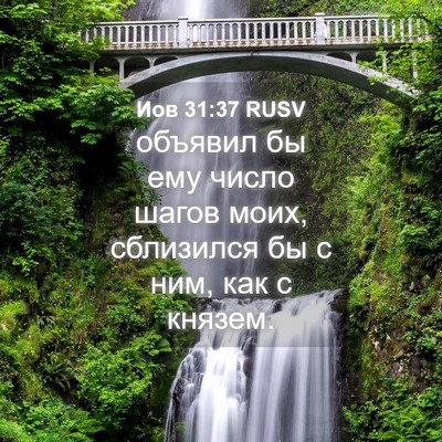 Picture 04 - Иов 31:37 RUSV - объявил бы ему число шагов - Bible Verse Picture