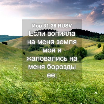 Picture 04 - Иов 31:38 RUSV - Если вопияла на меня земля - Bible Verse Picture