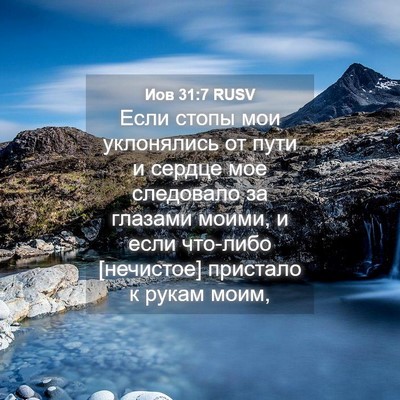 Picture 04 - Иов 31:7 RUSV - Если стопы мои уклонялись - Bible Verse Picture