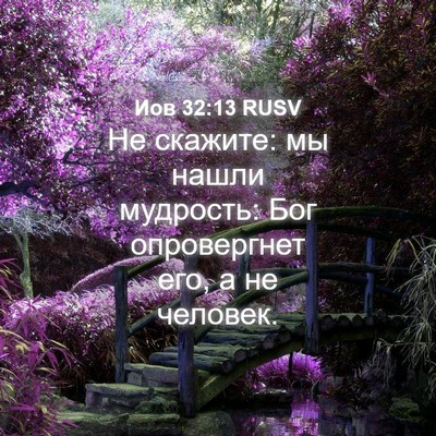 Picture 04 - Иов 32:13 RUSV - Не скажите: мы нашли - Bible Verse Picture