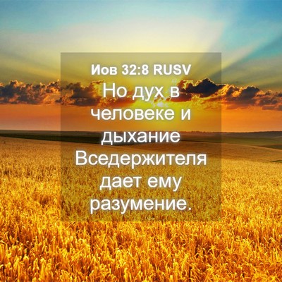 Picture 04 - Иов 32:8 RUSV - Но дух в человеке и дыхание - Bible Verse Picture