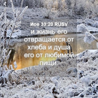 Picture 04 - Иов 33:20 RUSV - и жизнь его отвращается от - Bible Verse Picture