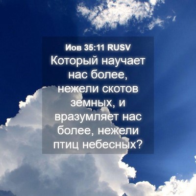 Picture 04 - Иов 35:11 RUSV - Который научает нас более, - Bible Verse Picture