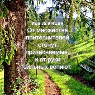 Picture 04 - Иов 35:9 RUSV - От множества - Bible Verse Picture