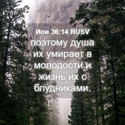 Picture 04 - Иов 36:14 RUSV - поэтому душа их умирает в - Bible Verse Picture