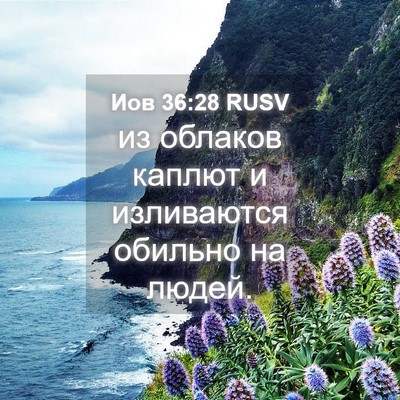 Picture 04 - Иов 36:28 RUSV - из облаков каплют и - Bible Verse Picture