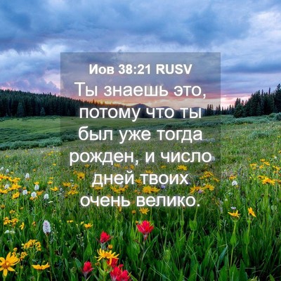 Picture 04 - Иов 38:21 RUSV - Ты знаешь это, потому что - Bible Verse Picture