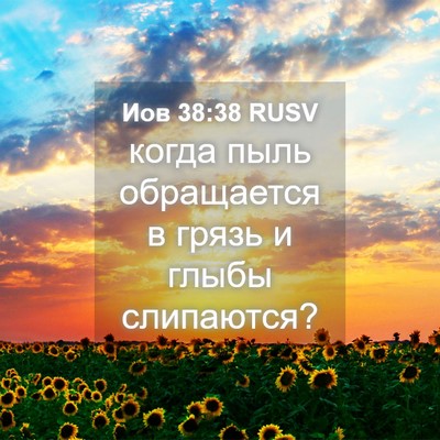 Picture 04 - Иов 38:38 RUSV - когда пыль обращается в - Bible Verse Picture