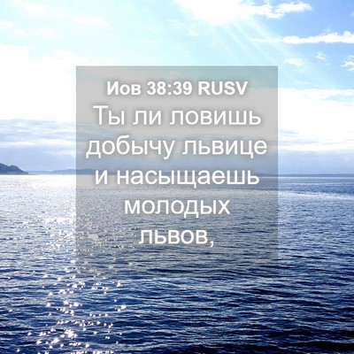 Picture 04 - Иов 38:39 RUSV - Ты ли ловишь добычу львице - Bible Verse Picture