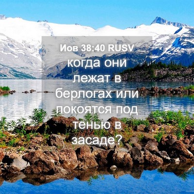 Picture 04 - Иов 38:40 RUSV - когда они лежат в берлогах - Bible Verse Picture