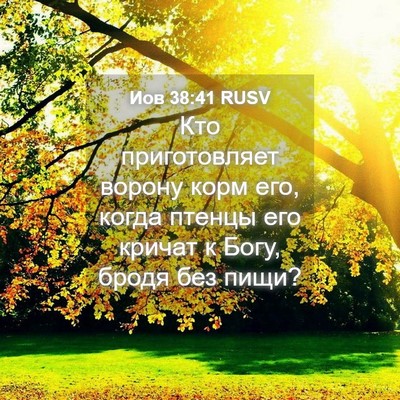 Picture 04 - Иов 38:41 RUSV - Кто приготовляет ворону - Bible Verse Picture