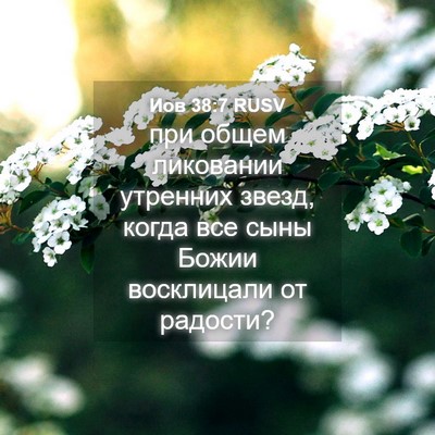 Picture 04 - Иов 38:7 RUSV - при общем ликовании - Bible Verse Picture