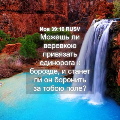 Picture 04 - Иов 39:10 RUSV - Можешь ли веревкою - Bible Verse Picture