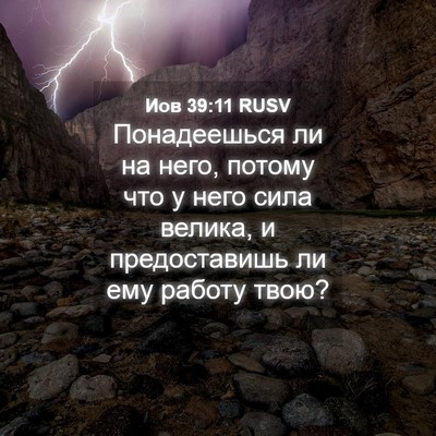 Picture 04 - Иов 39:11 RUSV - Понадеешься ли на него, - Bible Verse Picture