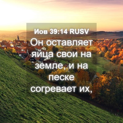 Picture 04 - Иов 39:14 RUSV - Он оставляет яйца свои на - Bible Verse Picture