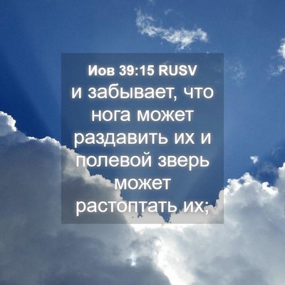 Picture 04 - Иов 39:15 RUSV - и забывает, что нога может - Bible Verse Picture