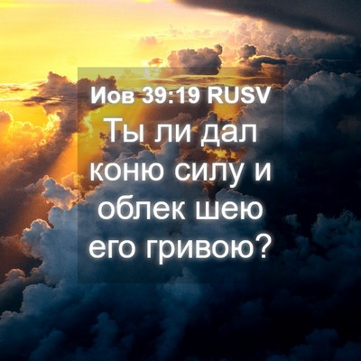 Picture 04 - Иов 39:19 RUSV - Ты ли дал коню силу и облек - Bible Verse Picture