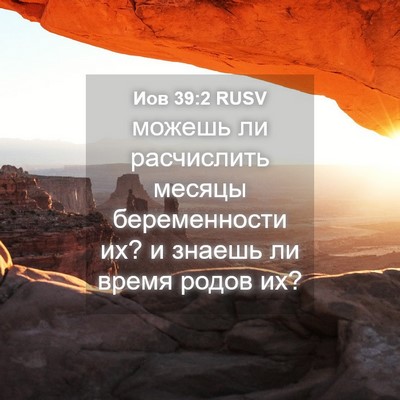 Picture 04 - Иов 39:2 RUSV - можешь ли расчислить - Bible Verse Picture