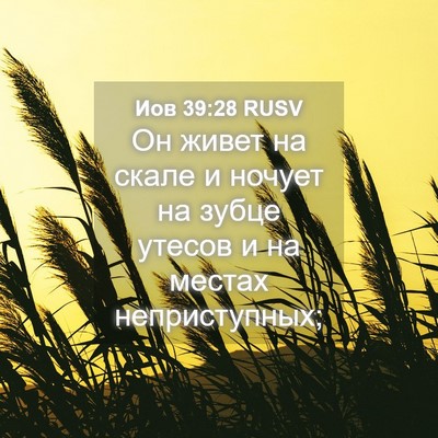 Picture 04 - Иов 39:28 RUSV - Он живет на скале и ночует - Bible Verse Picture