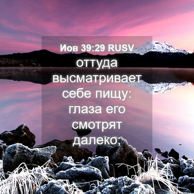 Picture 04 - Иов 39:29 RUSV - оттуда высматривает себе - Bible Verse Picture