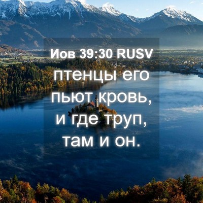 Picture 04 - Иов 39:30 RUSV - птенцы его пьют кровь, и - Bible Verse Picture