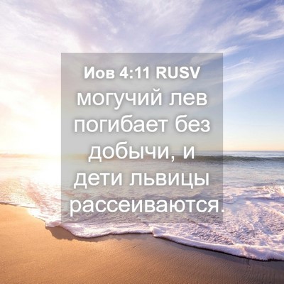 Picture 04 - Иов 4:11 RUSV - могучий лев погибает без - Bible Verse Picture