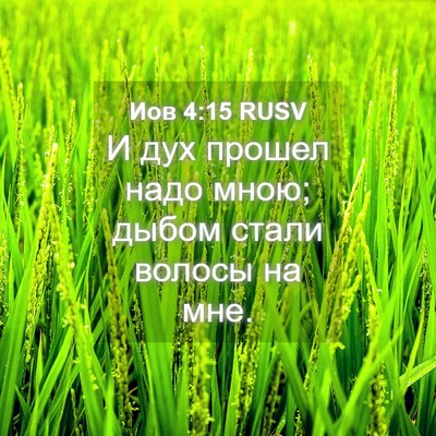 Picture 04 - Иов 4:15 RUSV - И дух прошел надо мною; - Bible Verse Picture