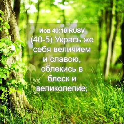 Picture 04 - Иов 40:10 RUSV - (40-5) Укрась же себя - Bible Verse Picture