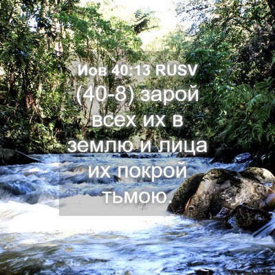 Picture 04 - Иов 40:13 RUSV - (40-8) зарой всех их в землю и - Bible Verse Picture