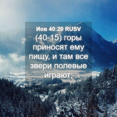 Picture 04 - Иов 40:20 RUSV - (40-15) горы приносят ему - Bible Verse Picture