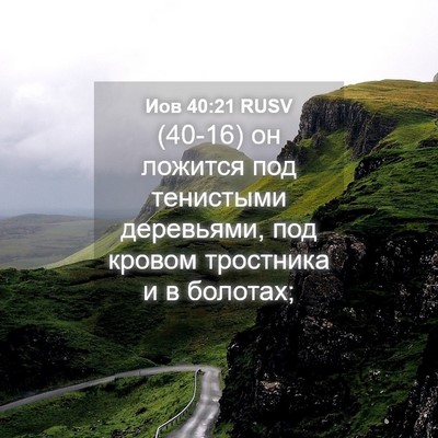 Picture 04 - Иов 40:21 RUSV - (40-16) он ложится под - Bible Verse Picture