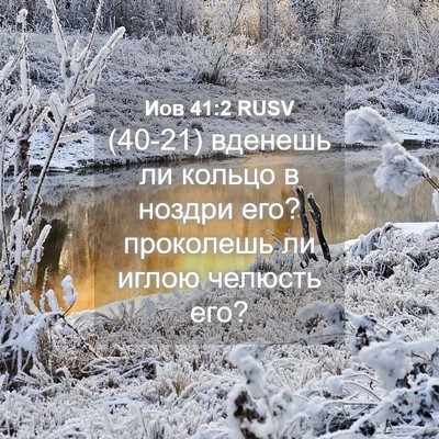 Picture 04 - Иов 41:2 RUSV - (40-21) вденешь ли кольцо в - Bible Verse Picture