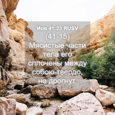 Picture 04 - Иов 41:23 RUSV - (41-15) Мясистые части тела - Bible Verse Picture