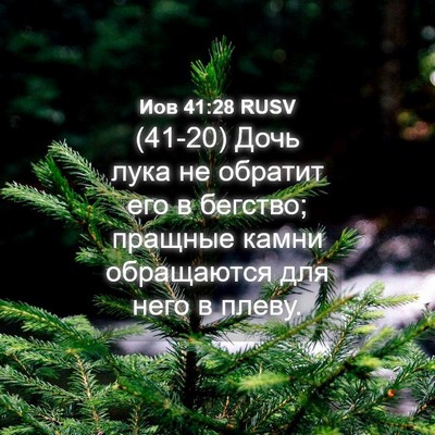 Picture 04 - Иов 41:28 RUSV - (41-20) Дочь лука не обратит - Bible Verse Picture